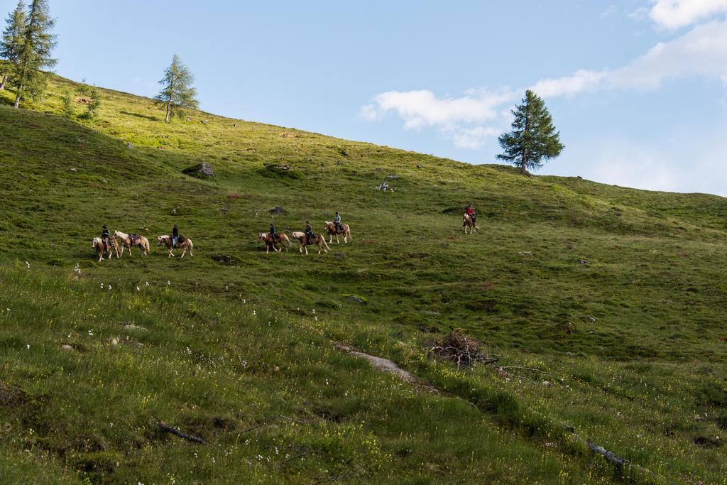 Landhaus Alpenrose - Feriendomizile Pichler Heiligenblut Extérieur photo